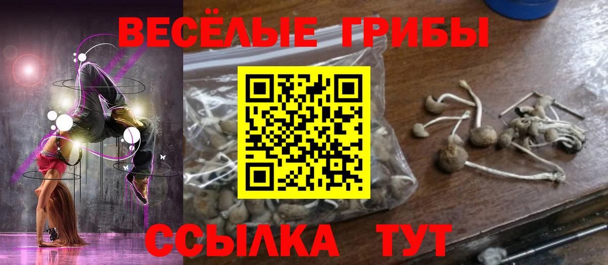 Псилоцибиновые грибы прущие грибы Мурино