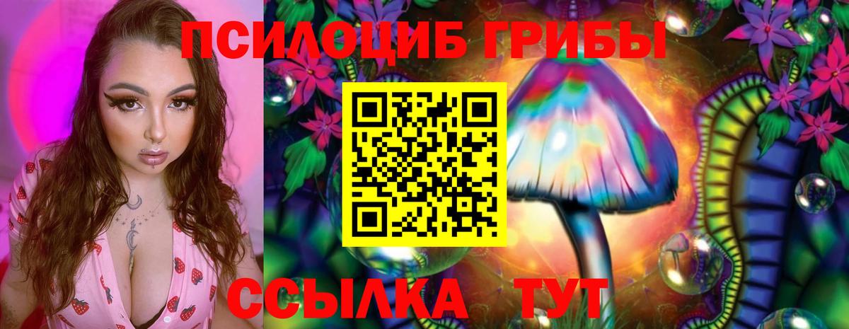 Мурино  Псилоцибиновые грибы Cubensis  Вход с VPN 